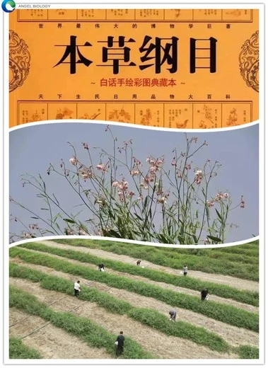 application application