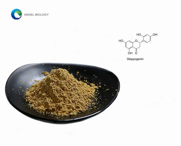 dendrobium officinale extract powder dendrobium officinale extract powder
