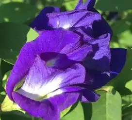 blog-1-1 blog-1-1