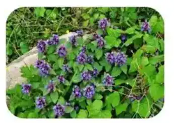 blog-1-1