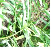 blog-1-1