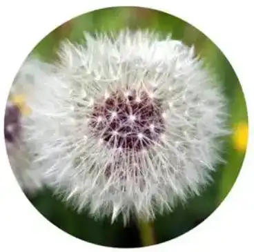 blog-1-1 blog-1-1