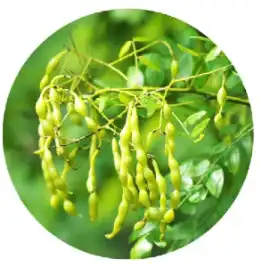 blog-1-1 blog-1-1