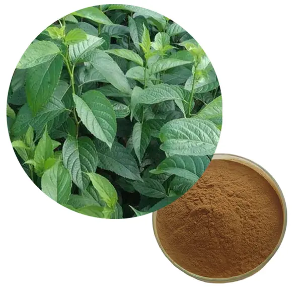 eucommia ulmoides extract powder eucommia ulmoides extract powder