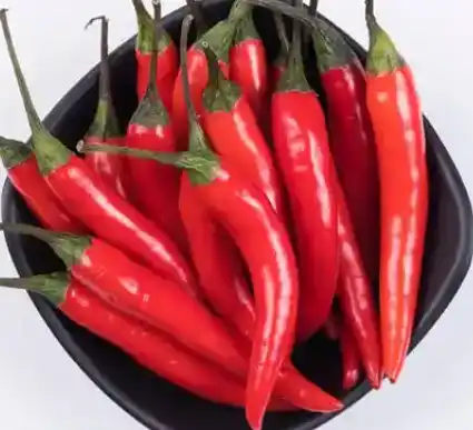 blog-1-1 blog-1-1