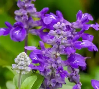 blog-1-1