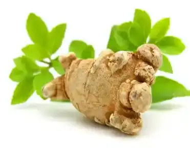 blog-1-1 blog-1-1