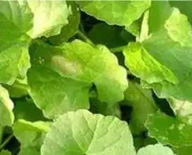 blog-1-1