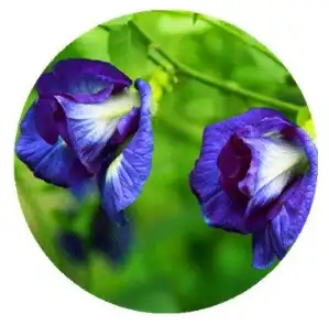 blog-1-1