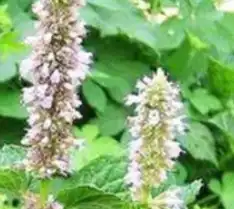 blog-1-1 blog-1-1