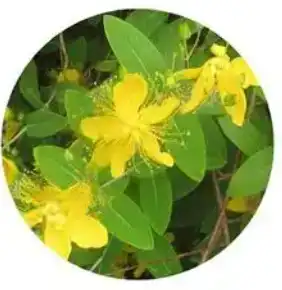 blog-1-1 blog-1-1