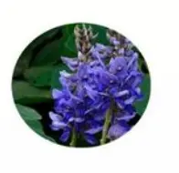 blog-1-1