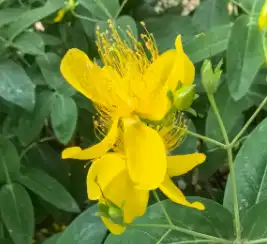 blog-1-1 blog-1-1