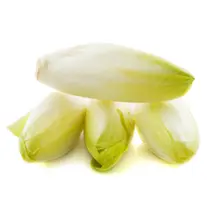 blog-1-1 blog-1-1