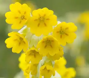 blog-1-1