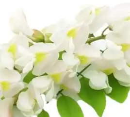 blog-1-1 blog-1-1