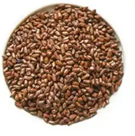 blog-1-1 blog-1-1