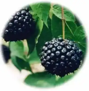 blog-1-1 blog-1-1