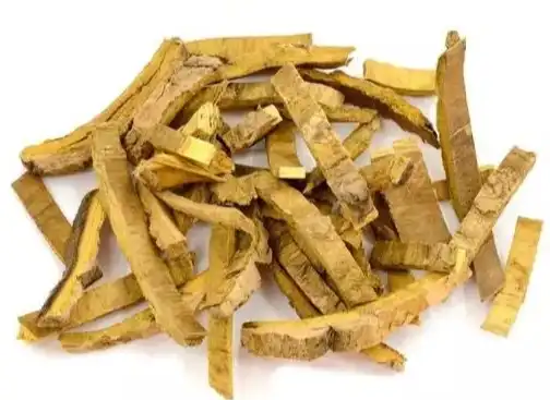 Phellodendron amurense Rupr