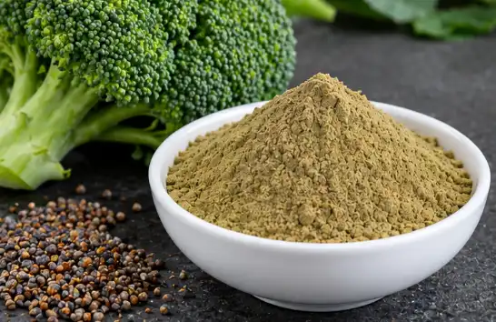 broccoli seed extract powder