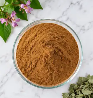 folium apocyni veneti extract powder
