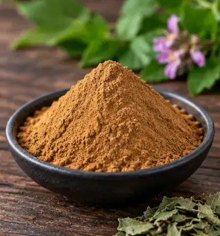 folium apocyni veneti extract powder