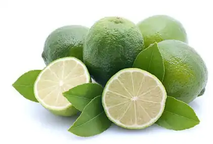 source of raw materials source of raw materials
