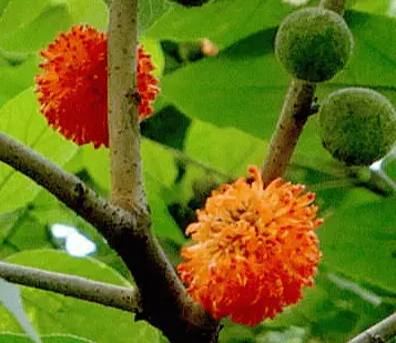 blog-1-1