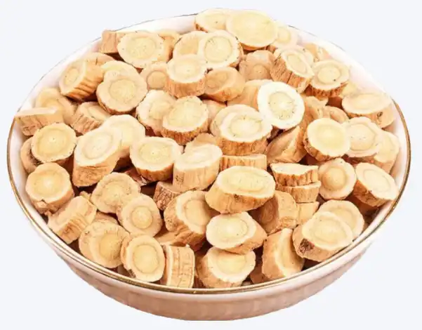 angelica sinensis angelica sinensis