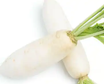 radish radish