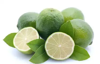 Citrus aurantium L