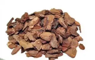 pine bark