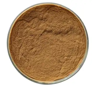 mulberry leaf extract powder mulberry leaf extract powder