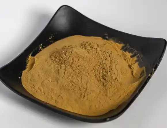 hamamelis virginiana extract hamamelis virginiana extract