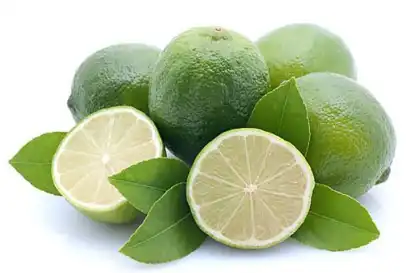 citrus aurantium L