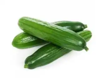 cucumis sativus