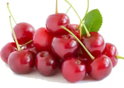 acerola cherry