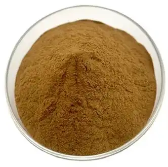ivy leaf extract