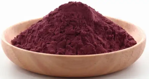 black elderberry extract powder