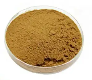 tribulus terrestris extract tribulus terrestris extract