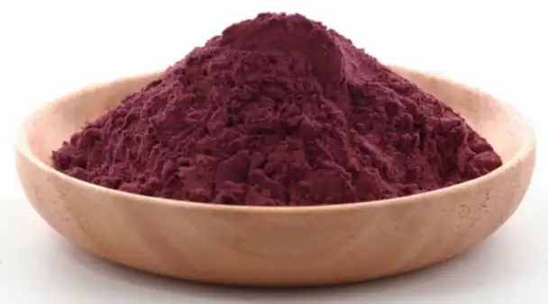 black elderberry extract powder
