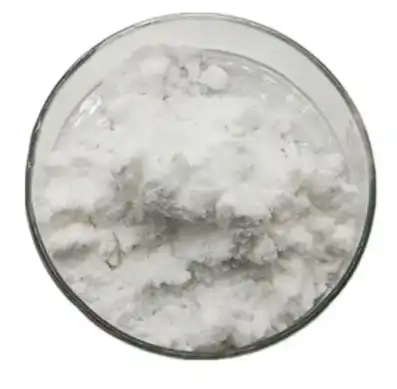sponge spicule