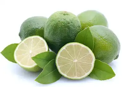citrus aurantium l