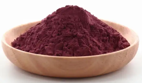 black elderberry extract powder