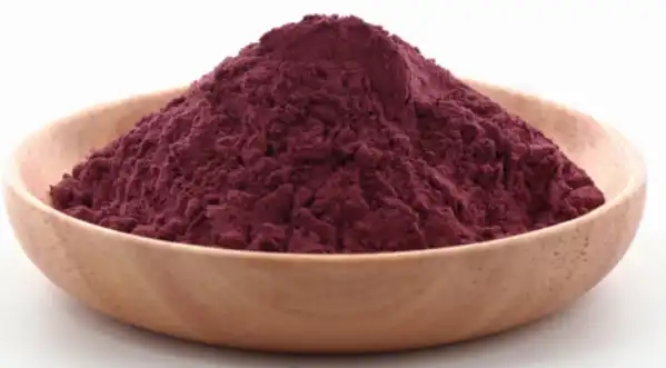 black elderberry extract powder