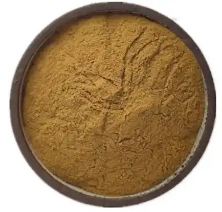 cucumis sativus fruit extract cucumis sativus fruit extract