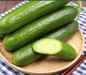 cucumis sativus cucumis sativus