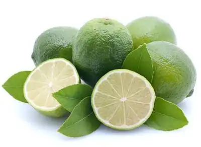 citrus aurantium l