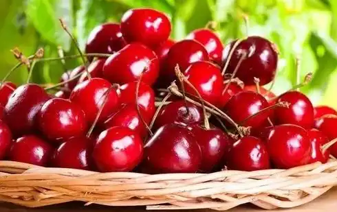 acerola cherry