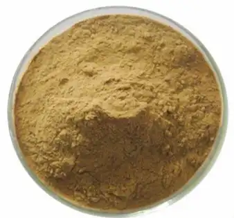 notoginsenoside powder